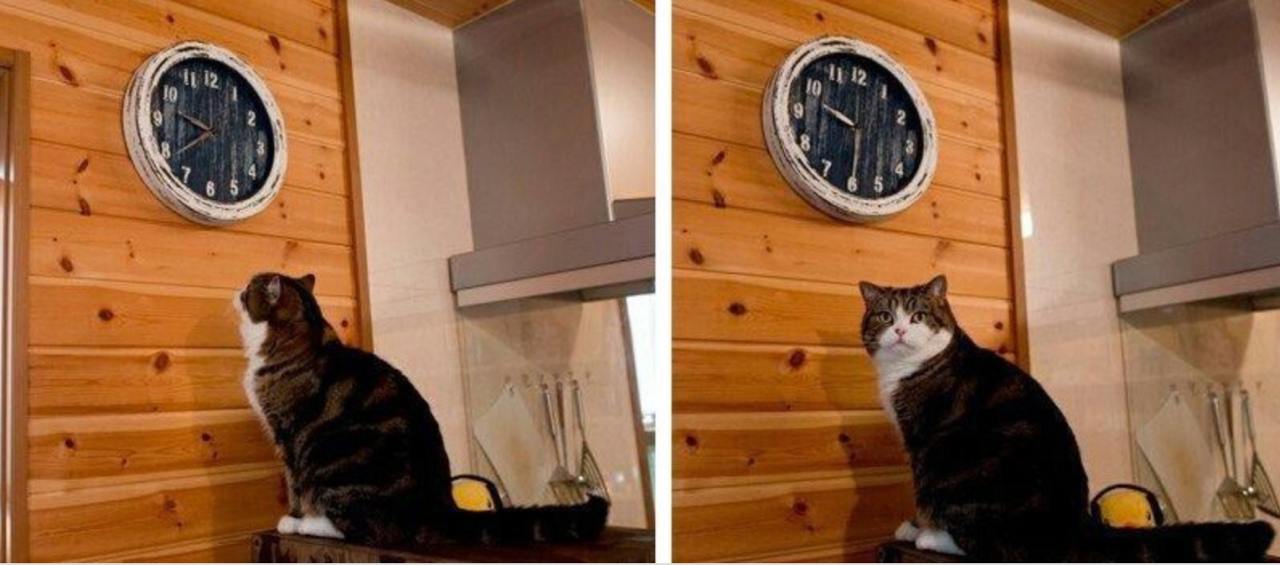 2 года в стартапе: ошибки, уроки, ходьба по кругу image preview