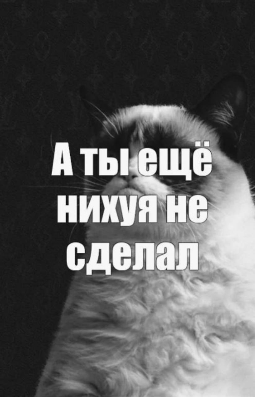 А сегодня же лето началось. То есть 42% года... image preview