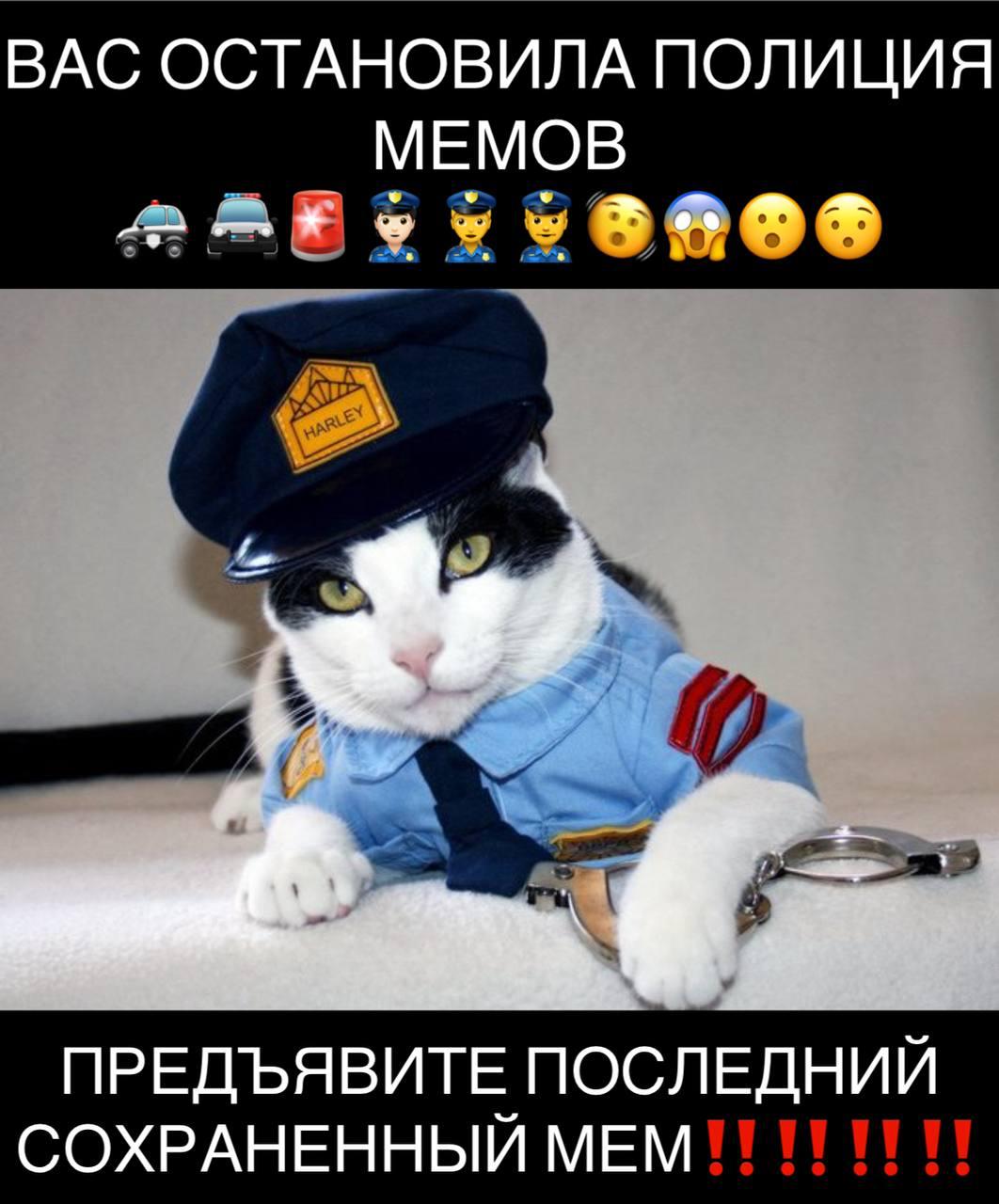 Хочется разжать щи image preview