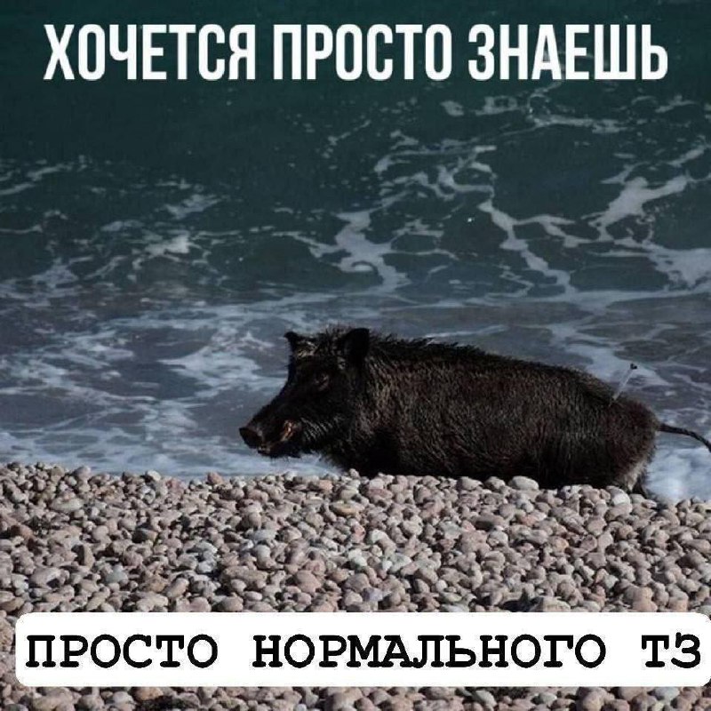 Немного мемов на ход ноги image preview