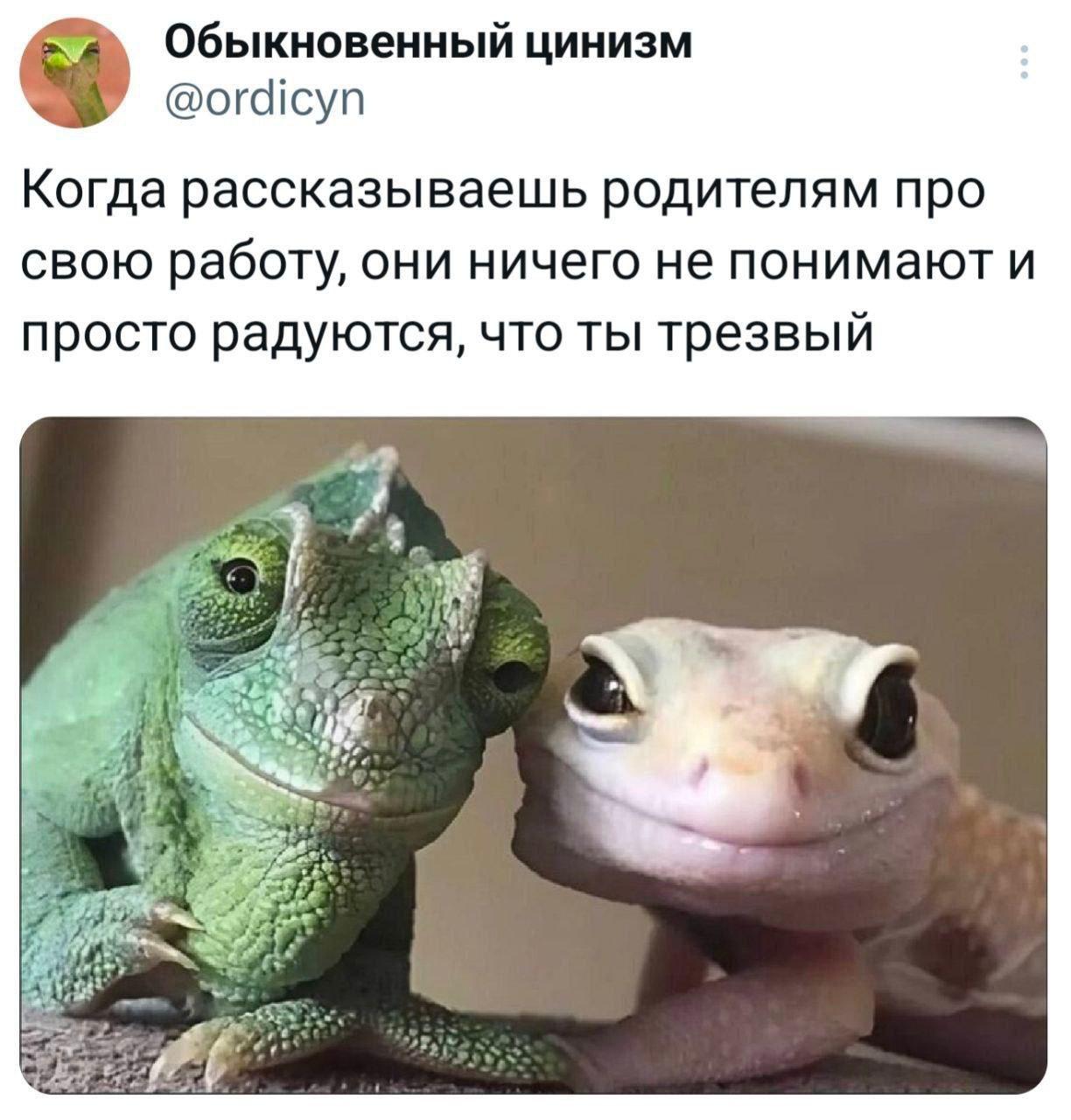 Расслабим щи image preview