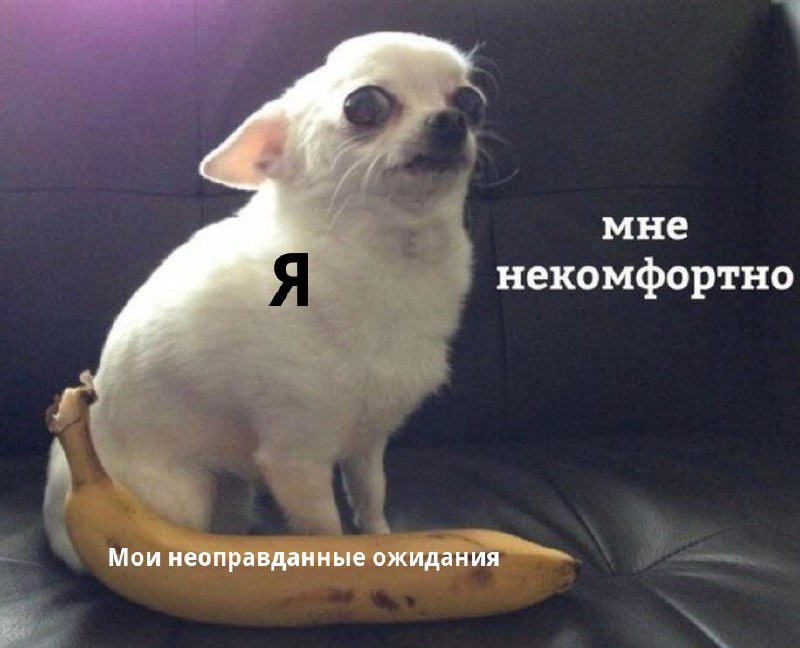 Неоправданные ожидания: что делать, если реальность разочаровывает image preview