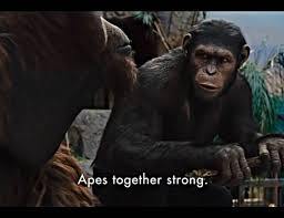 важность сообществ в жизни image preview