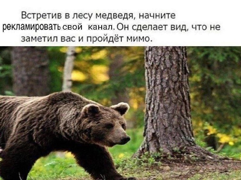 Подписывайтесь на канал Просто чел из АЙТИ image preview